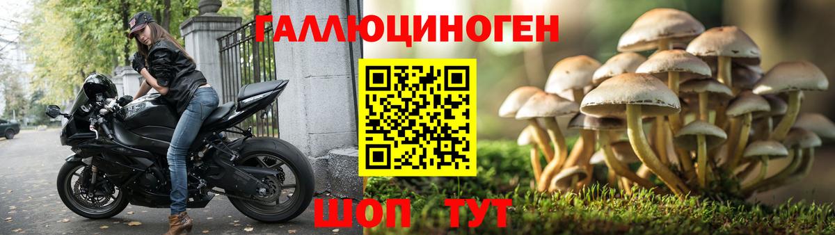 Галлюциногенные грибы MAGIC MUSHROOMS Избербаш